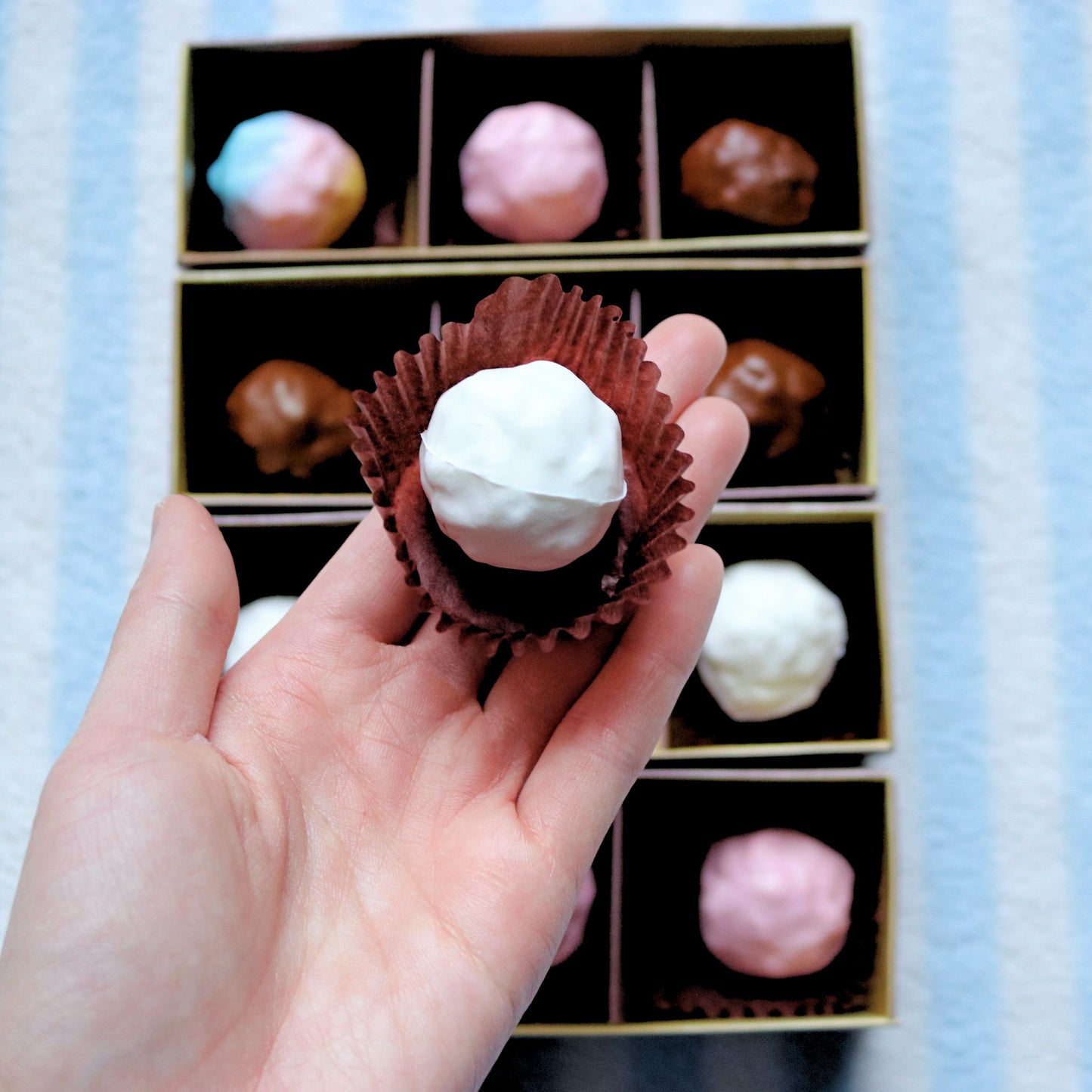 Picnic Soft and Fluffy Truffle Squishies