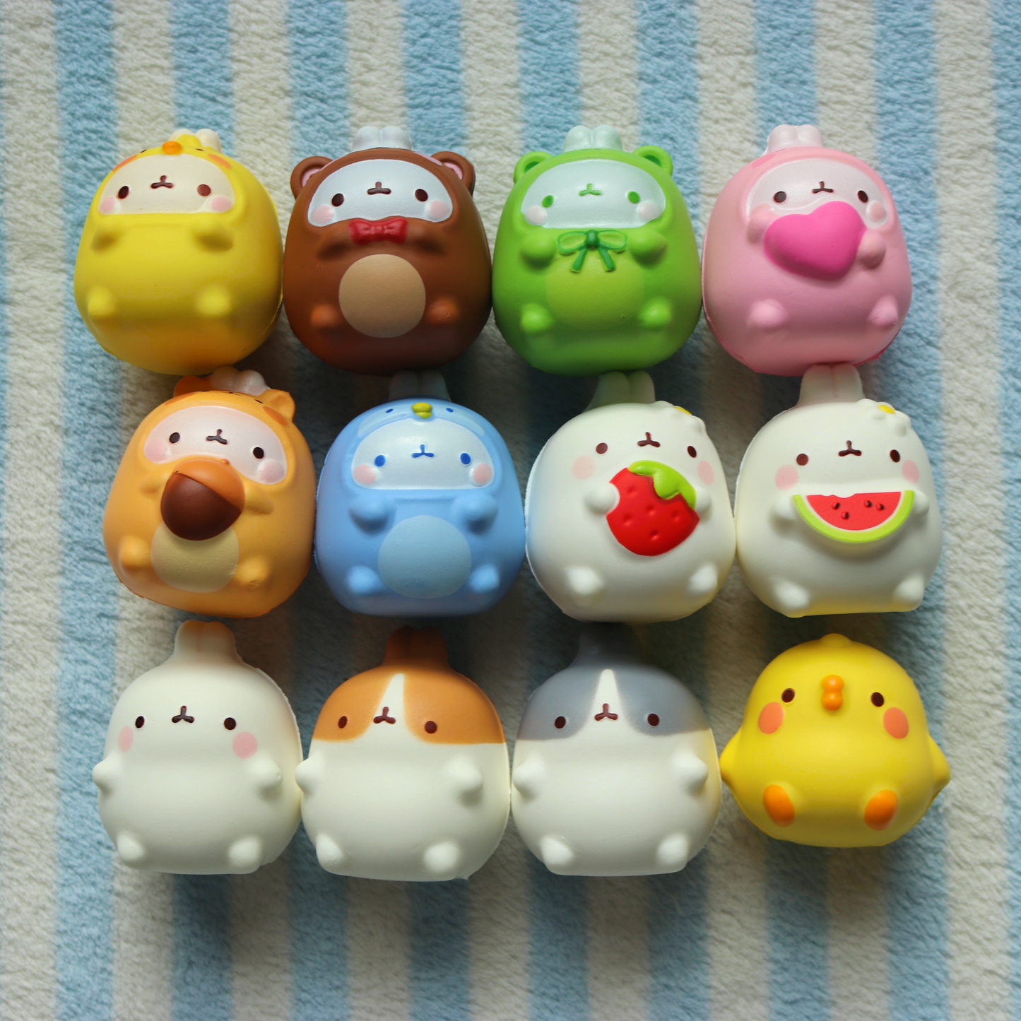 Molang Squishy Blind Box