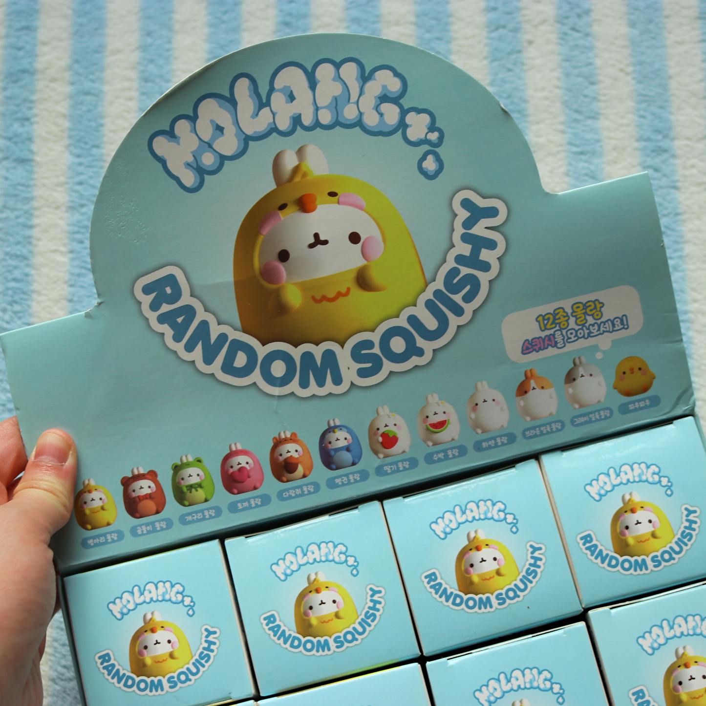 Molang Squishy Blind Box