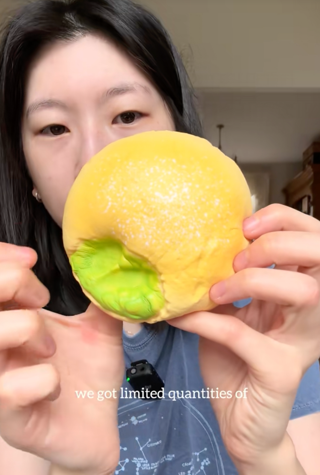 Zoey Green Bean Bread Squishy