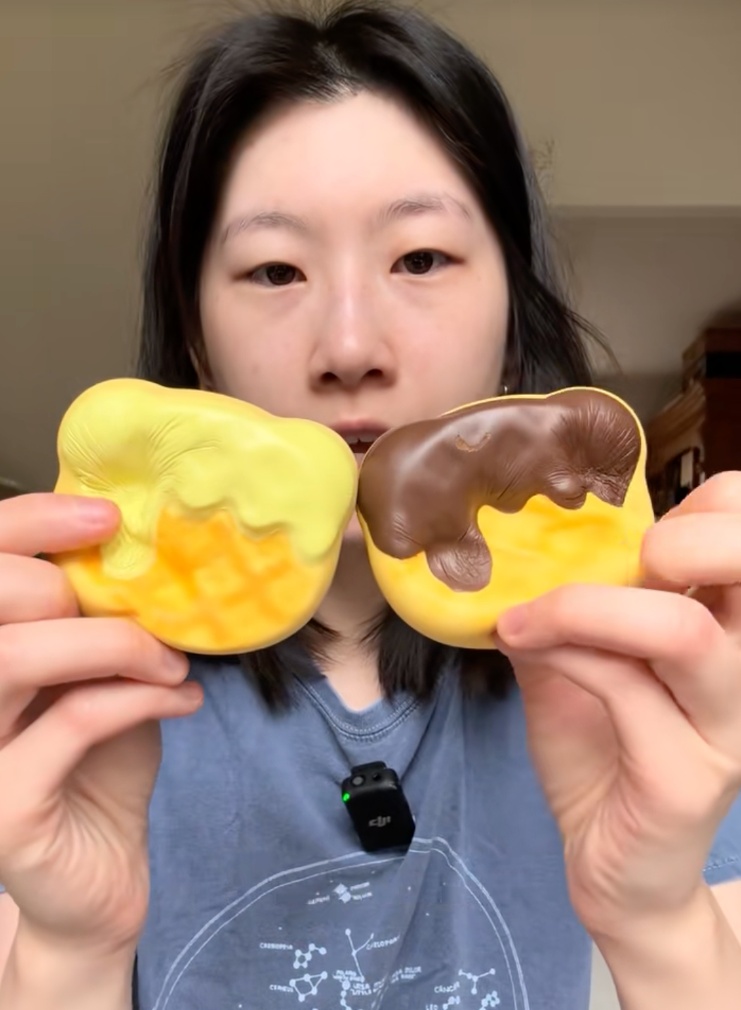 Lisa Bear Waffle Squishy