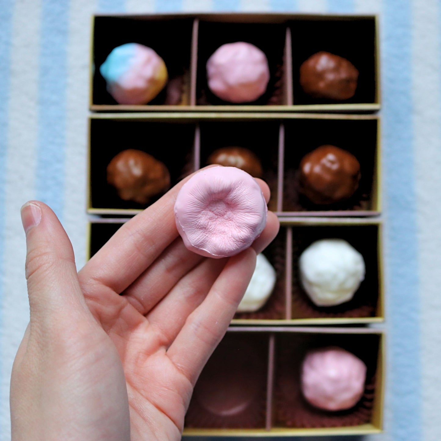 Picnic Soft and Fluffy Truffle Squishies