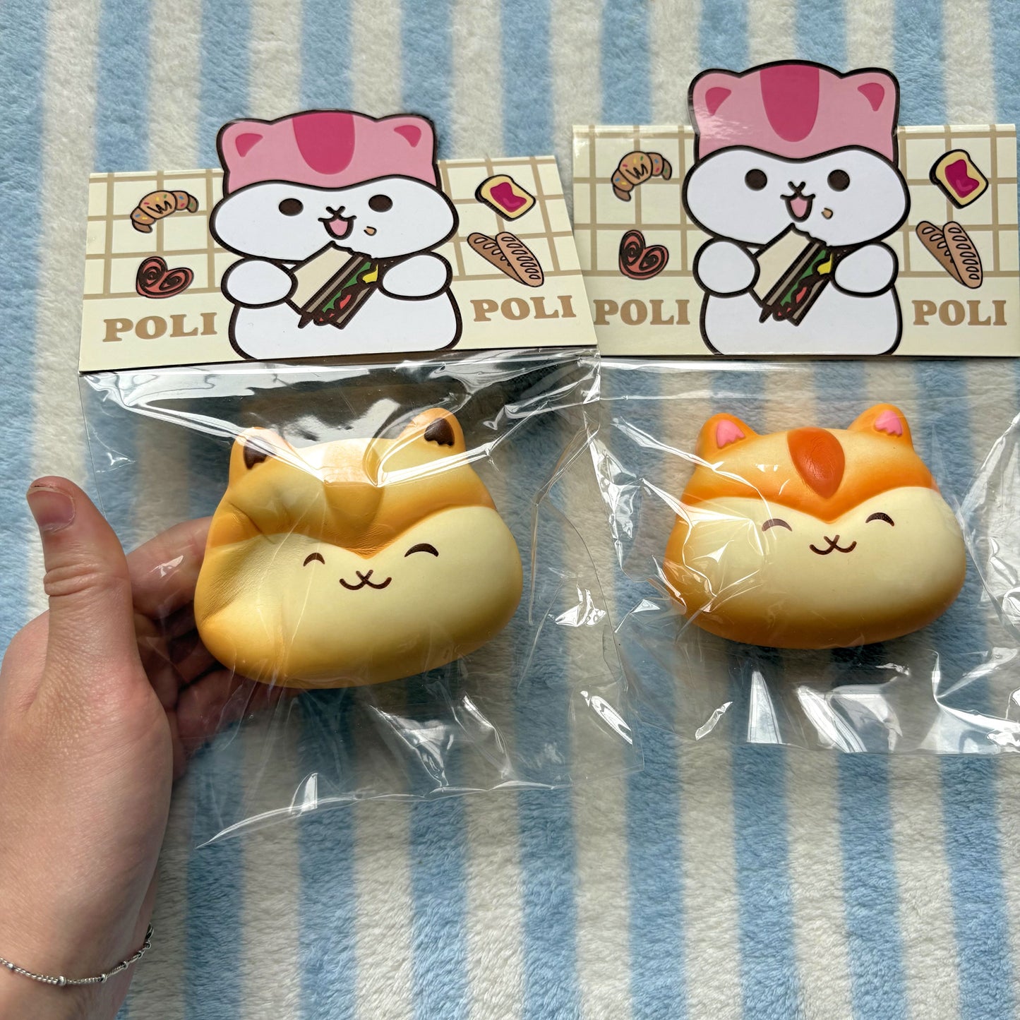 Poli Head Bun Squishy